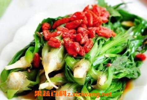 车前草怎么吃车前草的食用方法