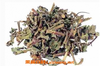 艾叶的副作用有哪些 使用艾叶的禁忌