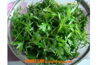 吃艾草的功效与作用