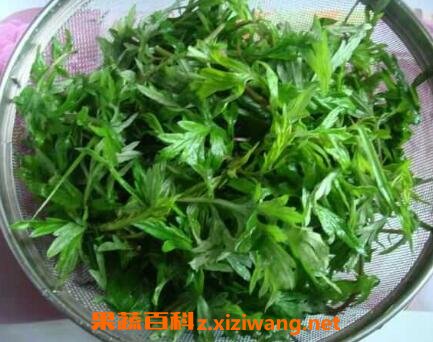 吃艾草的功效与作用