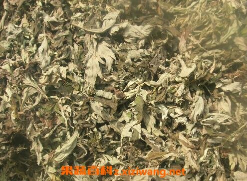 艾叶泡澡的功效与作用