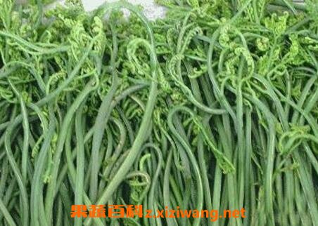 佛手菜的功效与作用
