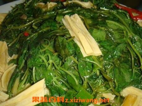 荆棘菜的功效与营养价值