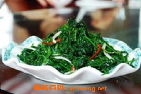 荆棘菜的功效与营养价值