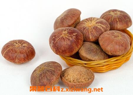 风流果的功效与作用