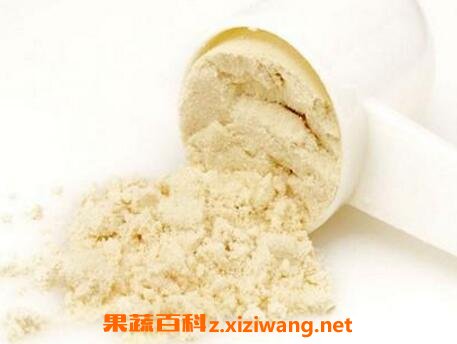 蛋白粉的副作用和食用禁忌