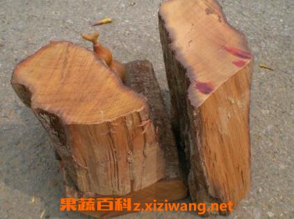 沉香木的功效与作用