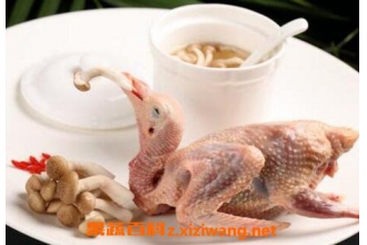 吃什么补肾 肾虚吃什么食物好