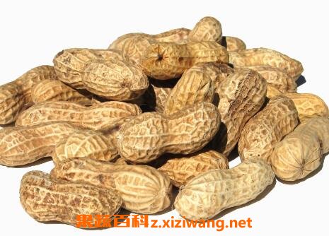吃花生有什么好处和坏处