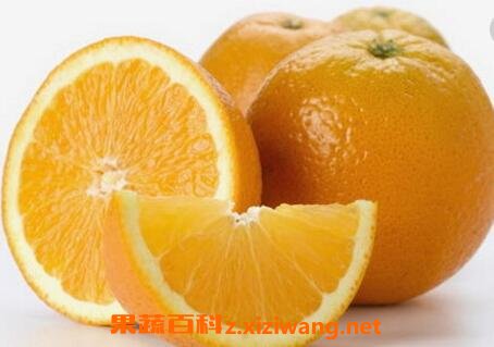 口腔溃疡吃什么水果