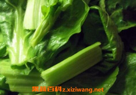 莙达菜的功效与作用