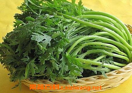 菊花菜的作用与功效