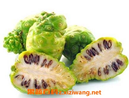 诺丽果的营养价值及功效
