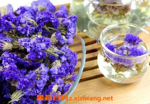 勿忘我花茶的功效与冲泡方法