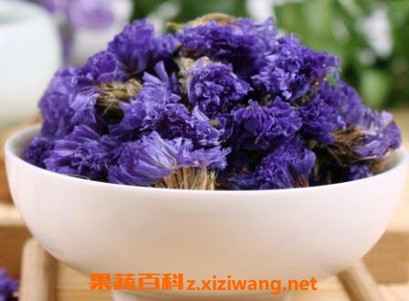 勿忘我花茶的功效与冲泡方法