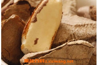 沙漠果/鲍鱼果的营养价值及功效作用