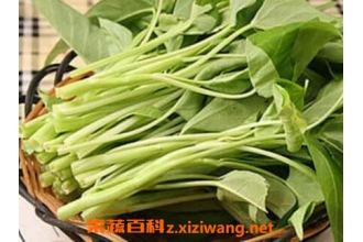 通心菜的功效与作用