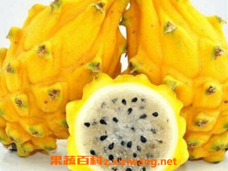 麒麟果的营养价值