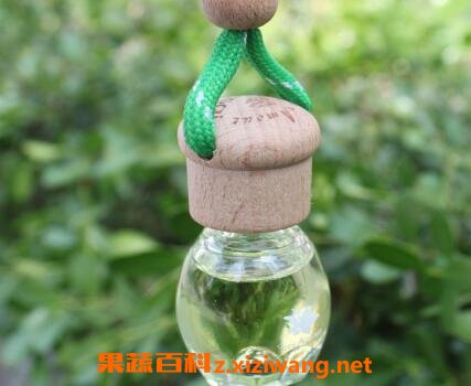 栀子花精油的功效与作用