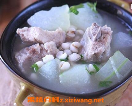 冬瓜排骨汤的功效与做法
