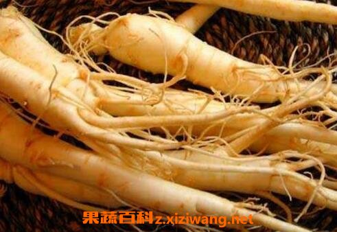 男人吃什么人参好 人参怎么吃壮阳