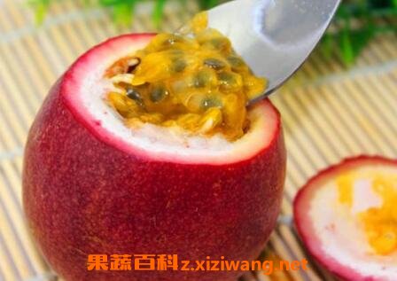 百香果怎么吃 百香果的正确吃法