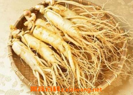 人参怎么吃效果最好 人参的食用方法