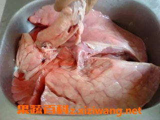 猪肺