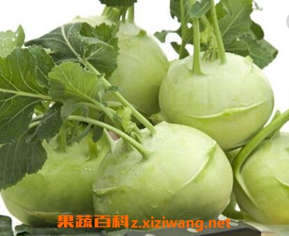 芥兰头怎样腌制