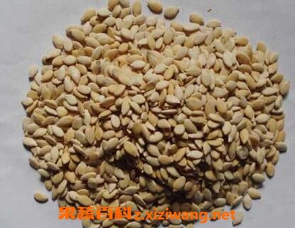 冬瓜子的功效作用与营养价值