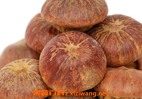 肾果的药用价值