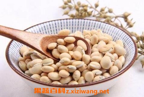 新鲜的白扁豆怎么吃