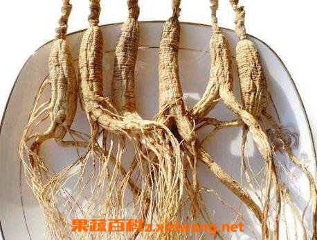 移山参的功效与作用
