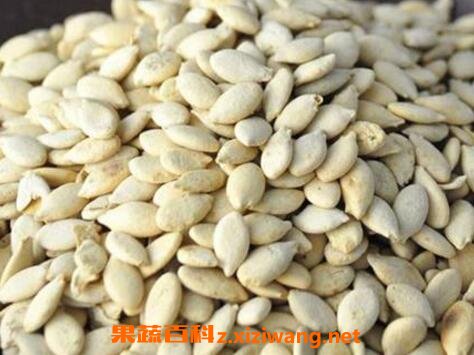 冬瓜子的功效与作用 冬瓜子怎么用美容