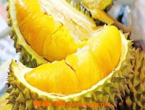 榴莲菠萝蜜怎么吃图解