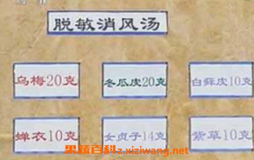 脱敏消风汤的作用