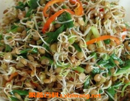 扁豆芽怎么吃