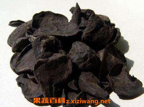 中药附子的功效与作用
