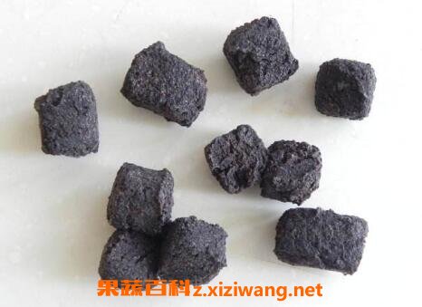中药胆南星的功效与作用及禁忌