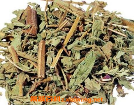 中药仙鹤草的作用与功效