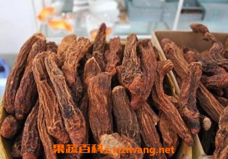 中药锁阳的功效与作用