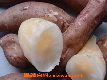 雪连果的功效与食用方法