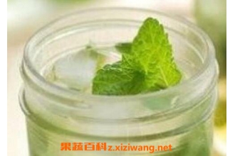 薄荷水的功效与作用