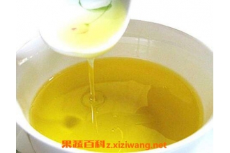 茶子油的功效与作用