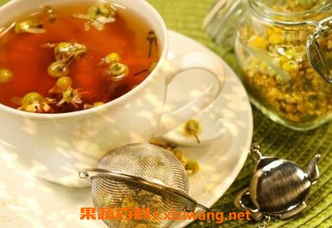 野菊花茶的功效与作用及禁忌