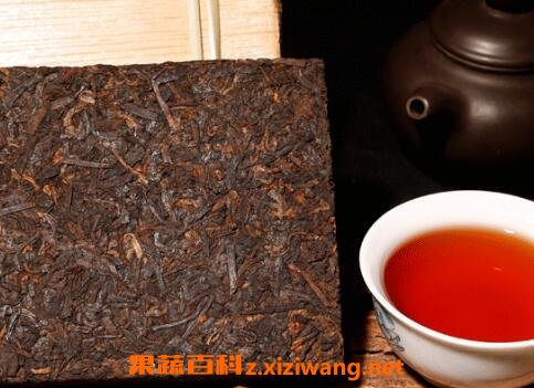 云南普洱茶怎么泡