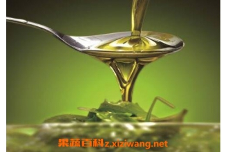 亚油酸的功效与作用