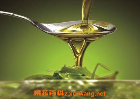 亚油酸的功效与作用