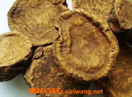 中药熟军的功效与作用