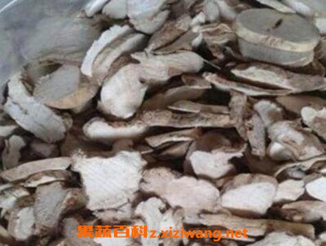 中药隔山消的副作用与功效